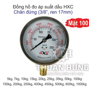 Đồng hồ đo áp suất có dầu HXC mặt 100, chân đứng ren 17mm