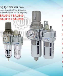Bộ lọc đôi khí nén SKP SAU210-02